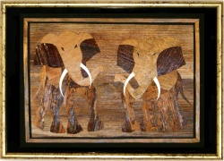 Bild0